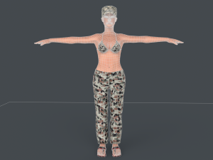 Commander Anita Model 3D