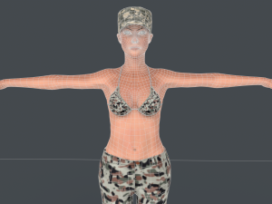 Commander Anita Model 3D