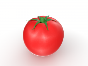 Red Tomato 3D 모델
