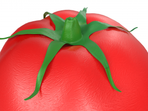 Red Tomato 3D 모델
