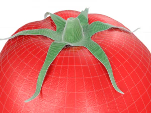 Red Tomato 3D Model