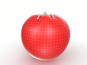 Red Tomato 3D 모델