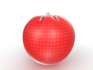 Red Tomato 3D Model