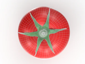 Red Tomato 3D Model