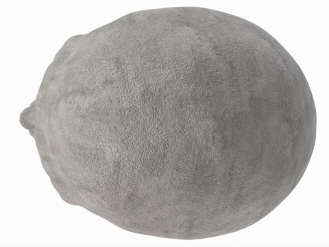 Human Skull 3D-Modell