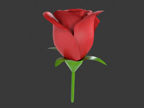 Rose Flower 3D Model