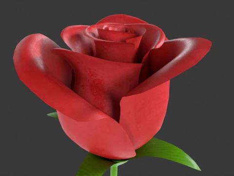 Rose Flower 3D Model