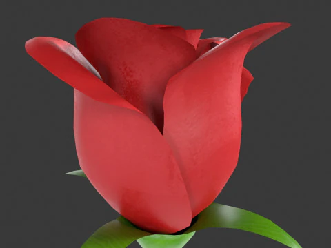 Rose Flower 3D Model
