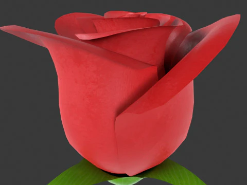 Rose Flower 3D Model