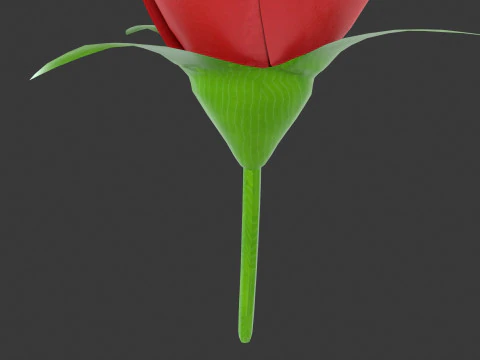 Rose Flower 3D Model