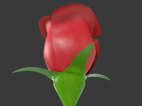 Rose Flower 3D Model