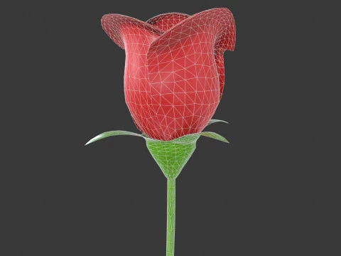 Rose Flower 3D Model