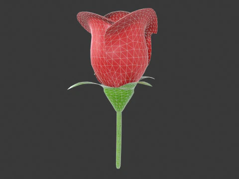 Rose Flower 3D Model