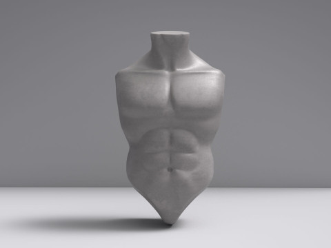 Male Torso Base Mesh 3D-Modell