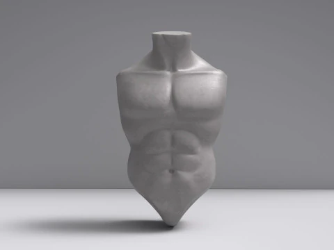 Malla base del torso masculino Modelo 3D