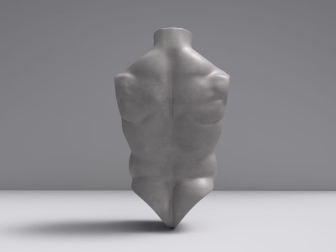 Male Torso Base Mesh 3D Model