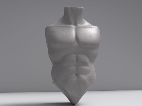 Male Torso Base Mesh 3D Model