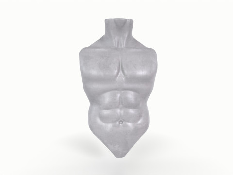 Male Torso Base Mesh 3D Model