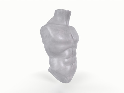 Male Torso Base Mesh 3D Model