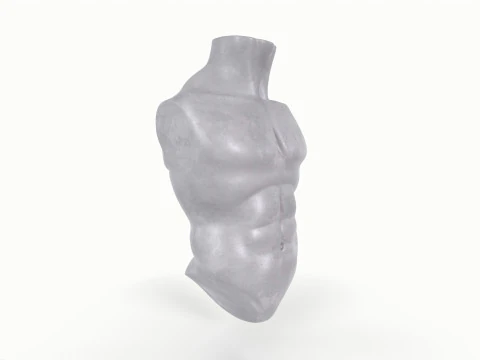 Male Torso Base Mesh 3D Model