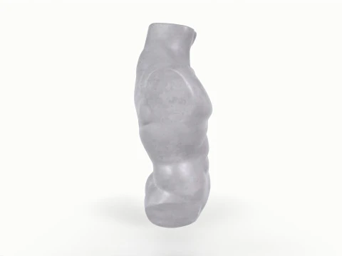 Male Torso Base Mesh 3D Model