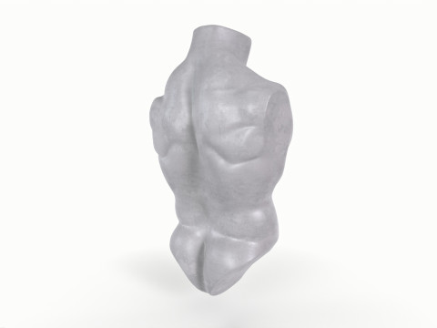Male Torso Base Mesh 3D Model
