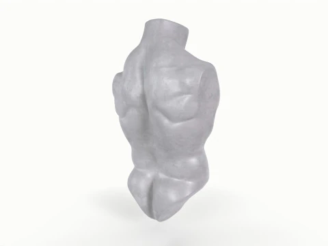 Male Torso Base Mesh 3D Model