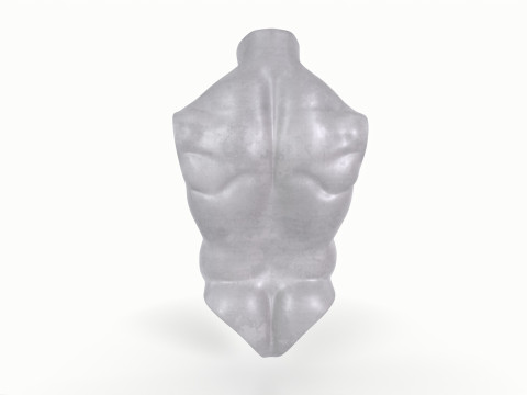 Male Torso Base Mesh 3D Model