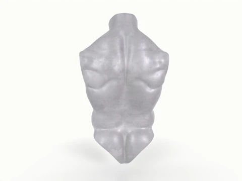 Male Torso Base Mesh 3D Model