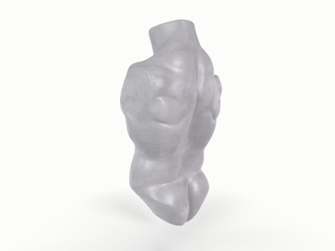 Male Torso Base Mesh 3D Model