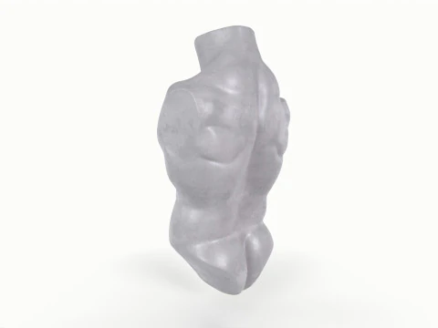 Male Torso Base Mesh 3D Model