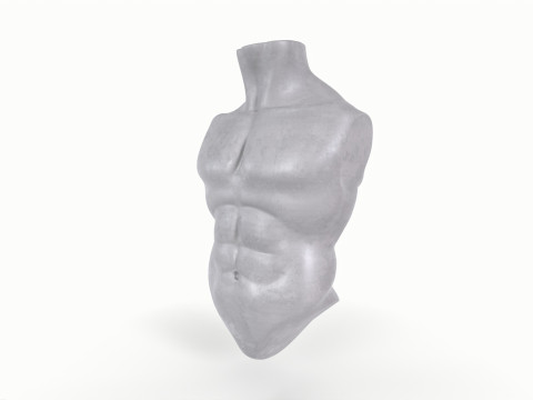 Male Torso Base Mesh 3D Model