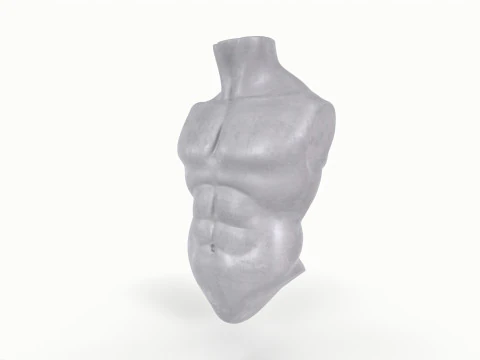 Male Torso Base Mesh 3D Model