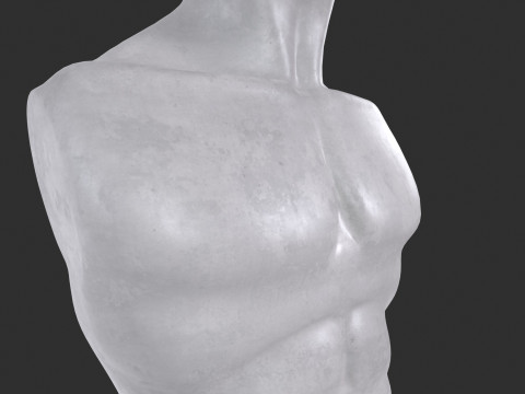 Male Torso Base Mesh 3D Model