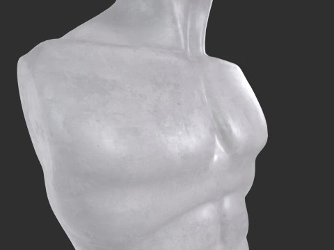 Male Torso Base Mesh 3D Model