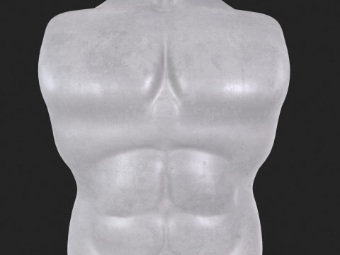 Male Torso Base Mesh 3D Model