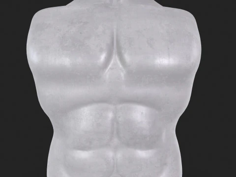 Male Torso Base Mesh 3D Model