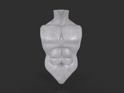Male Torso Base Mesh 3D Model