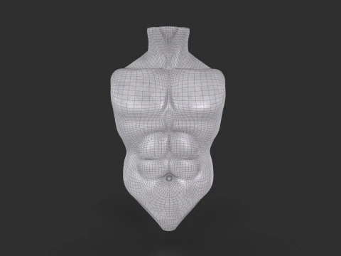 Male Torso Base Mesh 3D Model