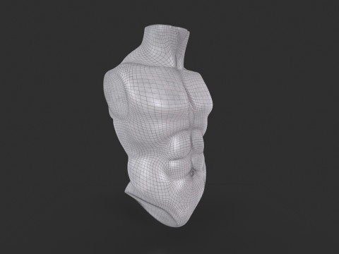 Male Torso Base Mesh 3D Model
