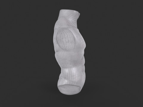 Male Torso Base Mesh 3D Model