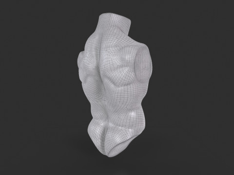 Male Torso Base Mesh 3D Model