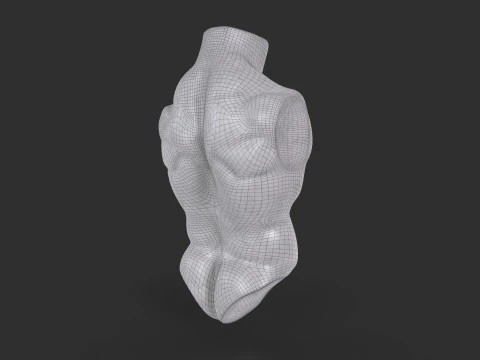 Male Torso Base Mesh 3D Model