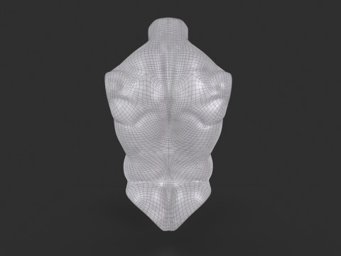 Male Torso Base Mesh 3D Model