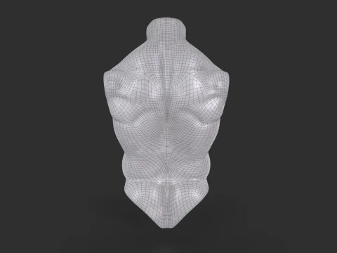 Male Torso Base Mesh 3D Model