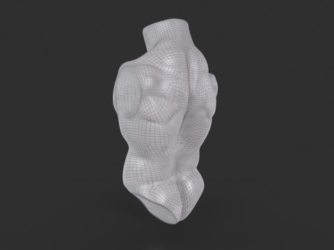 Male Torso Base Mesh 3D Model