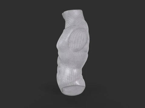 Male Torso Base Mesh 3D Model