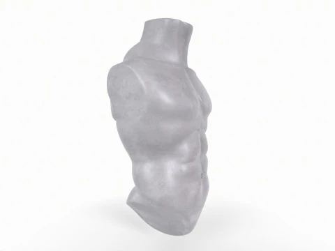 Male Torso Base Mesh 3D Print Model