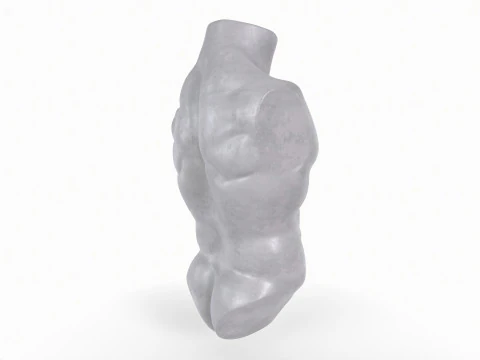Male Torso Base Mesh 3D Print Model