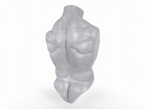 Male Torso Base Mesh 3D Print Model